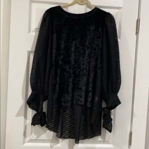 Ivy Jane high low top